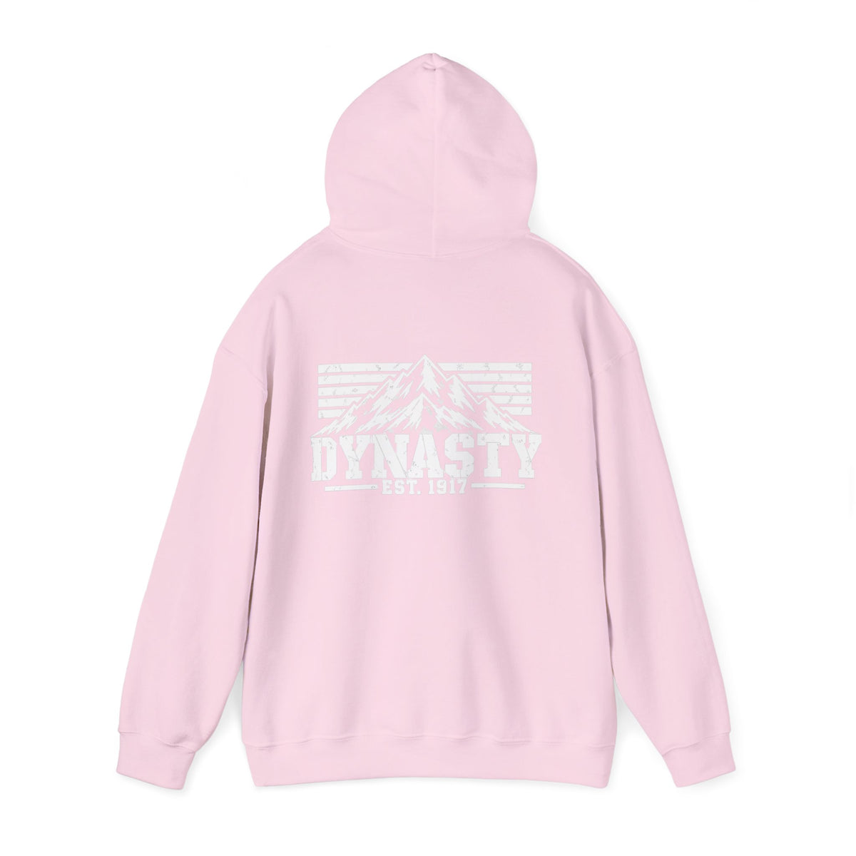 Dynasty 1-41 EST 1917 D4 - Unisex Heavy Blend™ Hooded Sweatshirt
