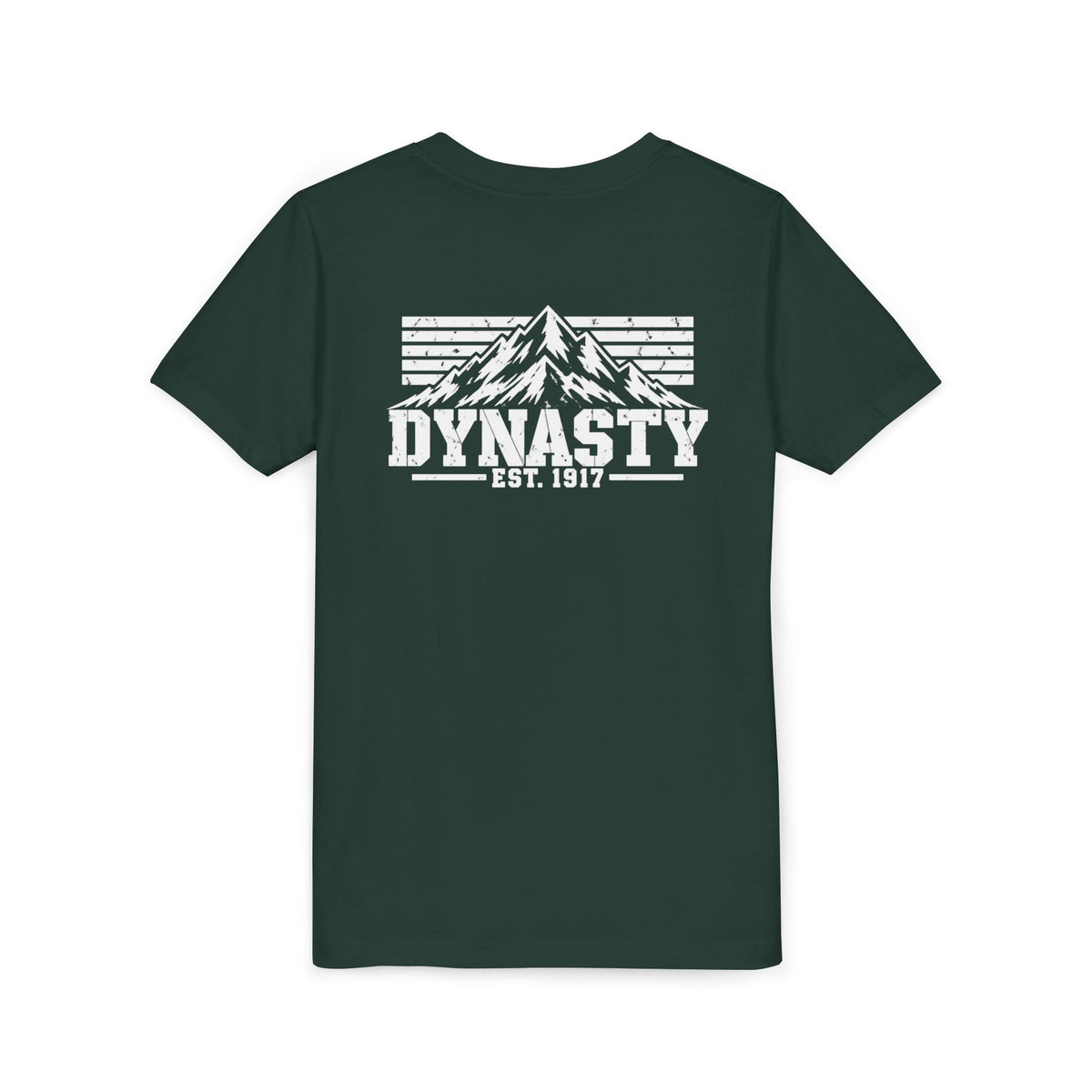 Dynasty 1-41 Mountain D4 - Youth Short Sleeve Tee